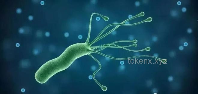 “这个细菌一人感染全家都得查”——幽门螺杆菌家庭感染案例研究